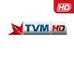 tvm programmes on demand.